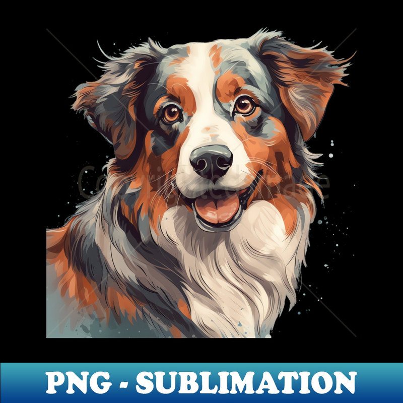 XI-20231114-1730_Australian Shepherd 3725.jpg