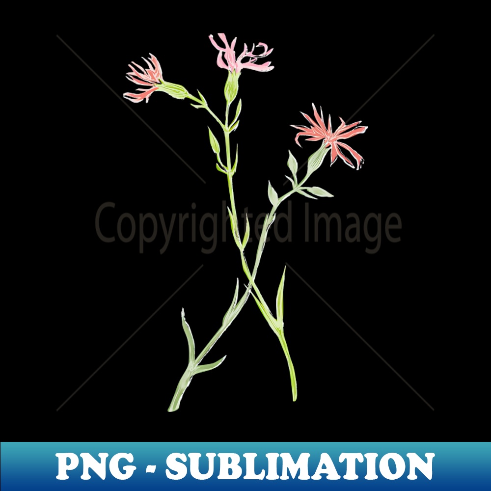 XS-20231114-22128_Vintage florals - Ragged Robin 8559.jpg