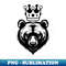XS-20231114-2254_Bear King 8788.jpg