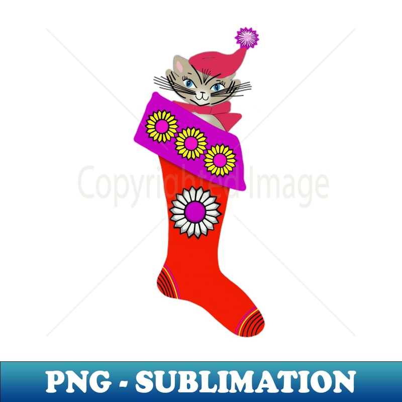 XS-20231114-4396_Christmas Cat in Stocking 8052.jpg