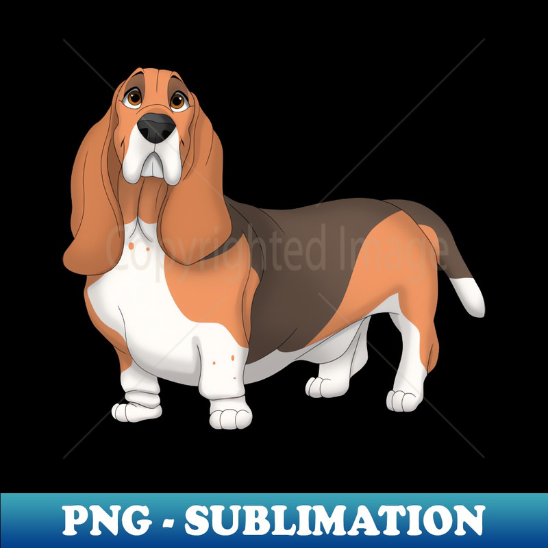 XY-20231114-2079_Basset Hound Dog 5407.jpg