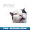 YF-20231114-21145_Tired white and black cat with a sign that says Im fine 1896.jpg