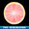 YK-20231114-9365_Grapefruit Citrus Circle Slice 7195.jpg