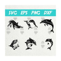 dolphin svg png, dolphins bundle