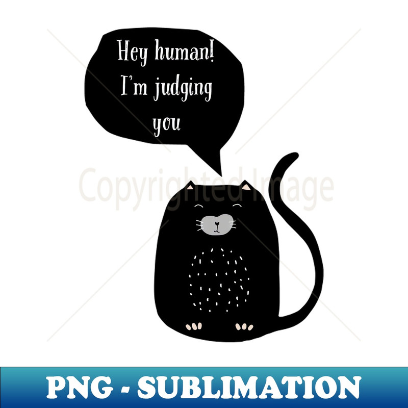 YS-20231114-10387_Hey human judgy cat 7453.jpg