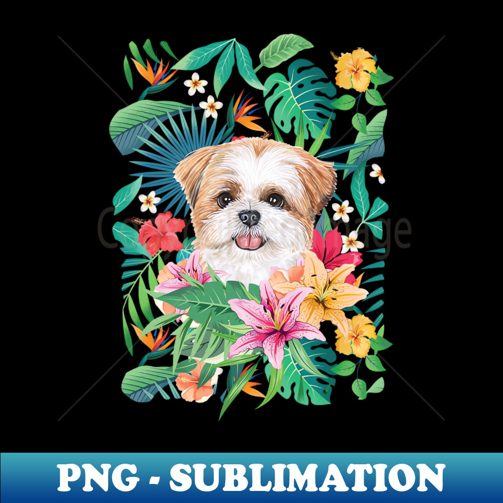 YU-20231114-21457_Tropical Gold Red White Shih Tzu 5 5147.jpg