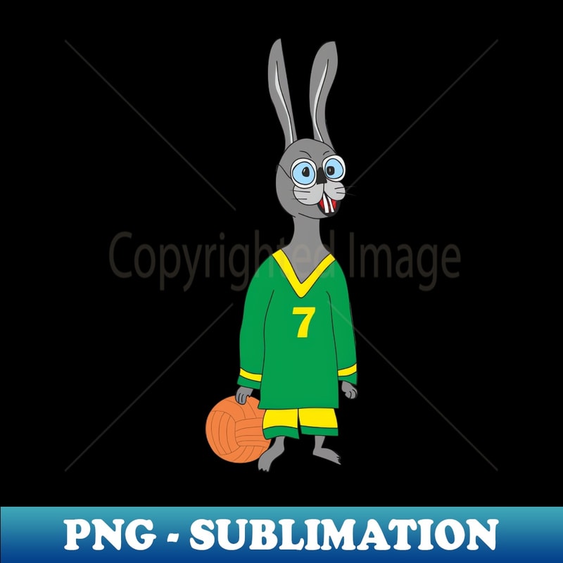 YU-20231114-8597_Funny Rabbit basketball player 6891.jpg