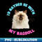 ZB-20231114-17318_Ragdoll Cat Id rather be with my Ragdoll 6737.jpg