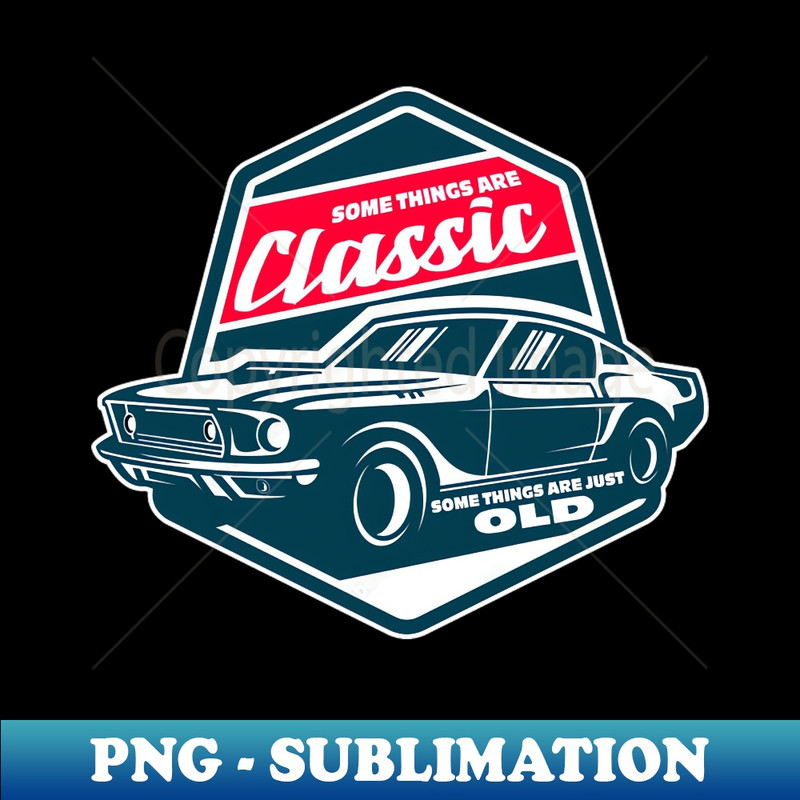 ZB-20231114-19216_Some Things Are Classic Some Things Are Just Old 4239.jpg