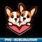 ZM-20231114-21580_Two corgi dogs love 2536.jpg