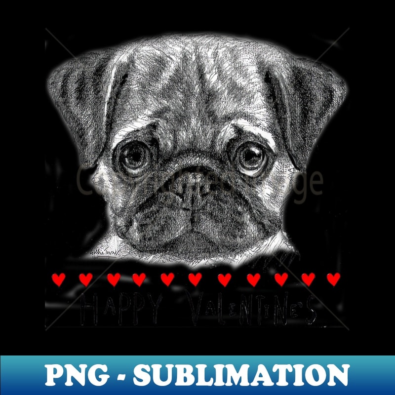 ZU-20231114-10143_Happy Valentines pug 4625.jpg