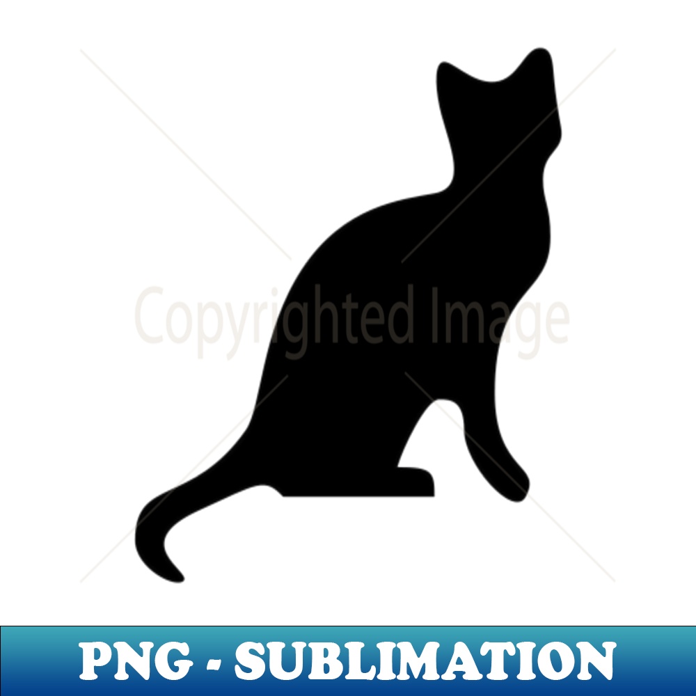 ZV-20231114-2807_Black Cat Smooth Silhouette Cut Out 5714.jpg