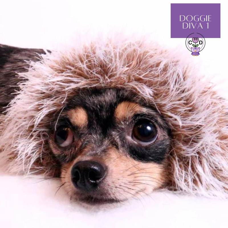 DoggieDiva1 Dog Knitting Pattern Download (1).jpg