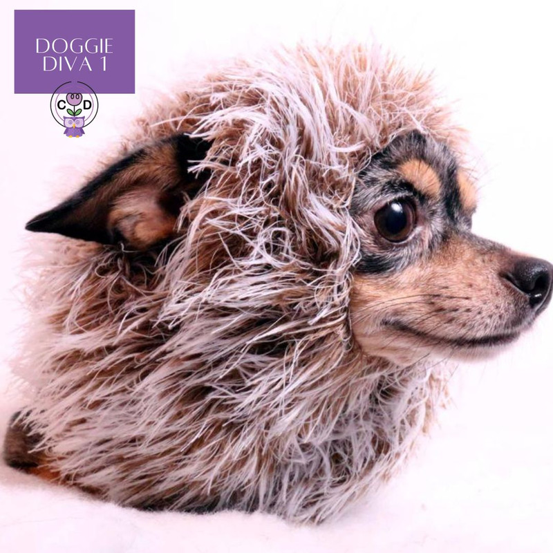 DoggieDiva1 Dog Knitting Pattern Download (4).jpg
