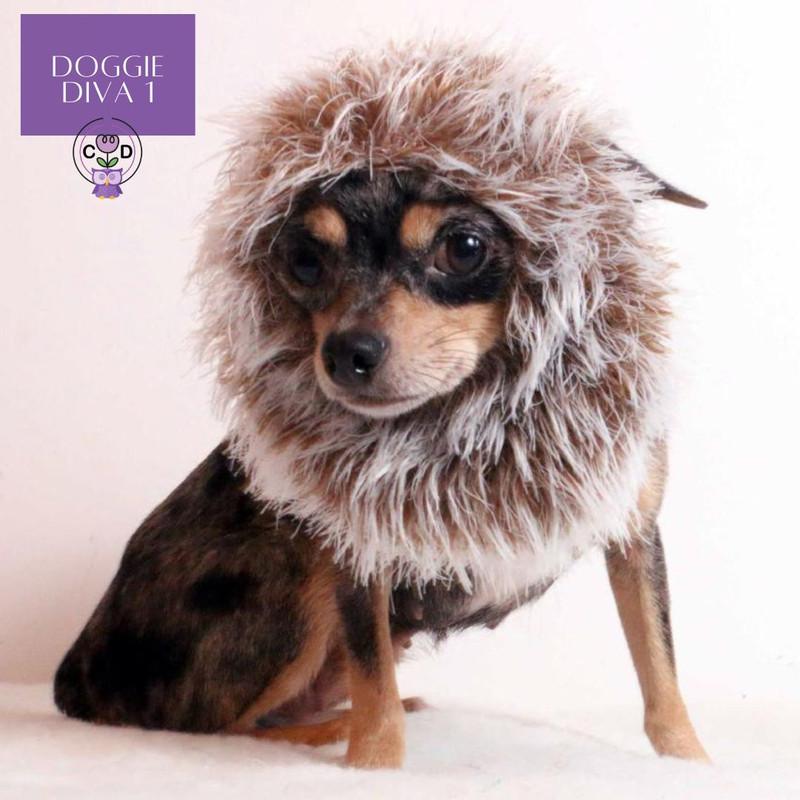 DoggieDiva1 Dog Knitting Pattern Download (5).jpg