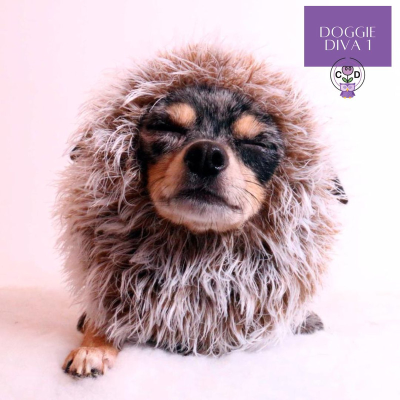 DoggieDiva1 Dog Knitting Pattern Download (7).jpg