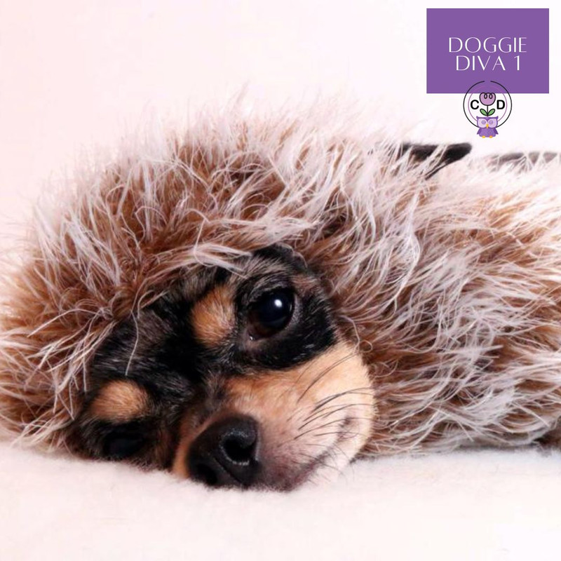 DoggieDiva1 Dog Knitting Pattern Download (8).jpg