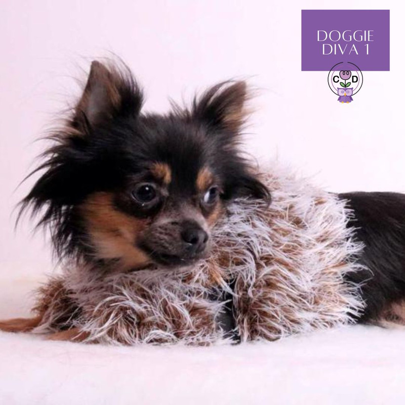 DoggieDiva1 Dog Knitting Pattern Download (14).jpg