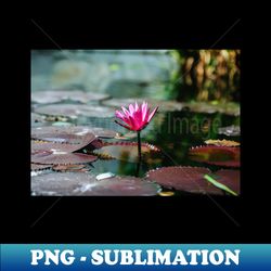 Meditation Wall Art Print - Water Lily Meditation - canvas Photo print artboard print poster Canvas Print - Artistic Sublimation Digital File - Fashionable and Fearless