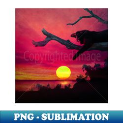 Cat watching sunset - Sublimation-Ready PNG File - Add a Festive Touch to Every Day