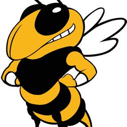 georgia tech yellow jackets svg png jpeg dxf digital cut vector