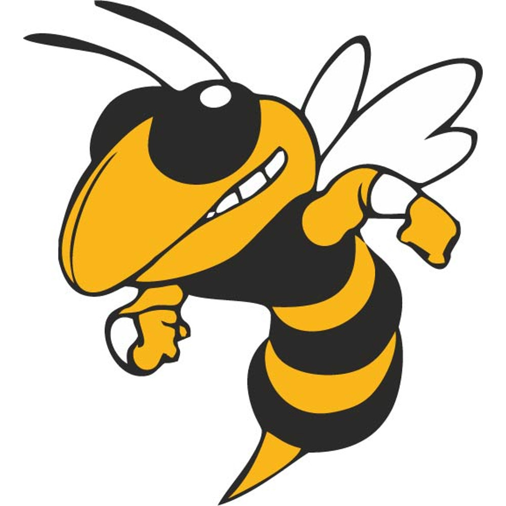 Georgia Tech Yellow jackets .jpg