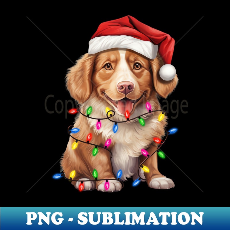 HO-20231115-4098_Christmas Dog Nova Scotia Duck Tolling Retriever 4298.jpg