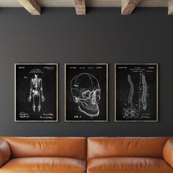 anatomical patent poster set of 3, skeleton poster, hospital decor, skull, spinal art, office decor, -1