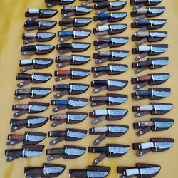 LOT OF 50, OVERALL LENGTH 6 INCHES DAMASCUS STEEL HUNTING SKINNER KNIVES WITH LEATHER SHEATHS