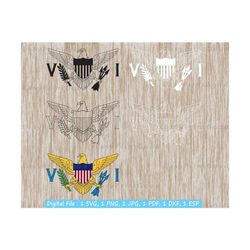 united states virgin islands flag, usvi svg, virgin islands flag, usa america united states, us virgin islands, t shirt, cut file, cricut