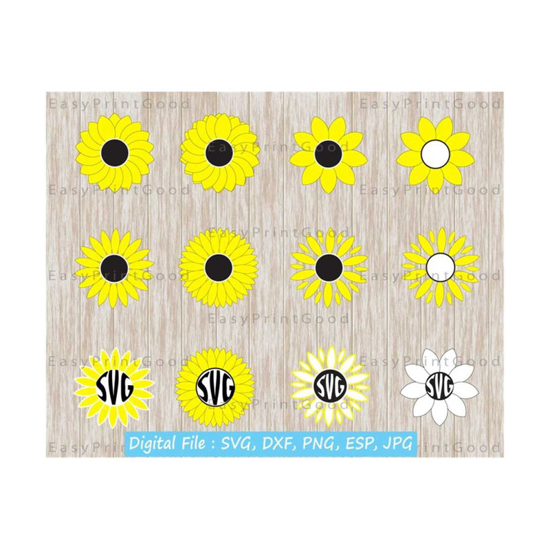 1611202393044-sunflowers-svg-sunflowers-monogram-frame-svg-sunflowers-image-1.jpg
