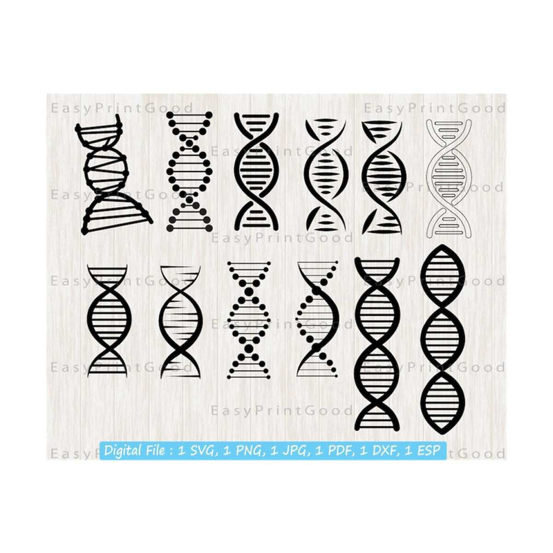 161120239399-dna-strand-svg-bundle-15-chromosome-laboratory-research-dna-image-1.jpg
