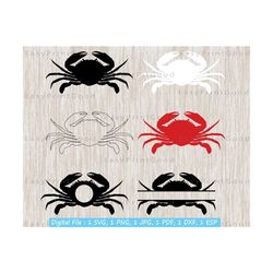 crab svg bundle, crab clipart, crab monogram frames svg, crab monogram svg, beach svg, ocean svg, summer svg, silhouette, cut file, cricut