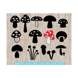 mushroom svg bundle, mushroom svg, cute mushroom clipart, toadstool svg, garden svg, mushroom champignons svg, vegetable, cut file, cricut