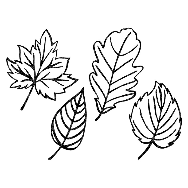 Fall Leaves Svg, Fall svg, Autumn leaves svg, Fall leaf svg bundle, Fall png, dxf, clipart, Cut files for Cricut, Silhouette, Halloween svg.jpg