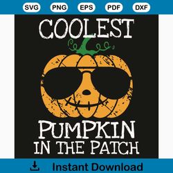 Coolest Pumpkin In The Patch SVG, Halloween Dad Son Matching SVG, Pumpkin svg, Pumpkin gift, Pumpkin shirt, Pumpkin Hall