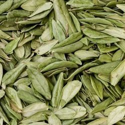 Organic Herbal Tea Wildcrafted Lingonberry leaves Antitussive tea Urinary tea Diuretic tea Immune support