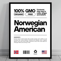 norwegian american unity flag poster mid century modern american melting pot rustic charming norwegian humor us patrioti