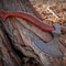 Damascus Steel Tomahawk Hatchet Axe