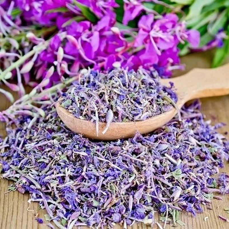 willow herb.jpg