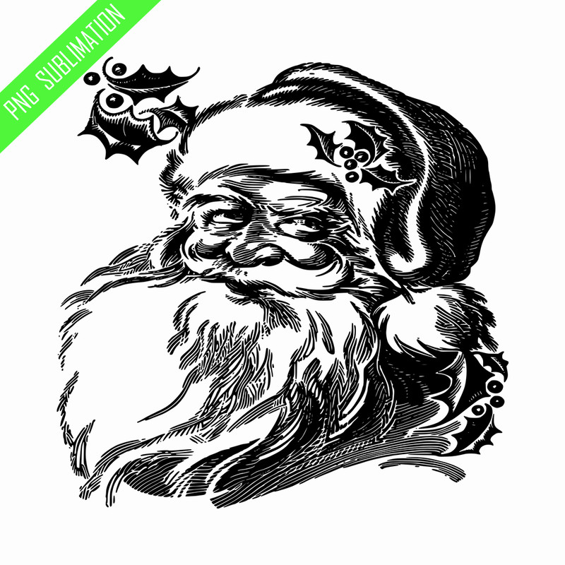 CRMAP140823996-Santa png.png