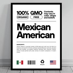 mexican american unity flag poster mid century modern american melting pot rustic charming mexican humor us patriotic de