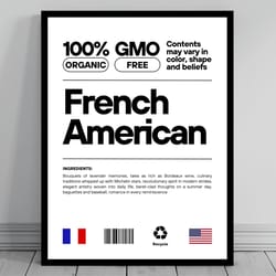 french american unity flag poster mid century modern american melting pot rustic charming french humor us patriotic