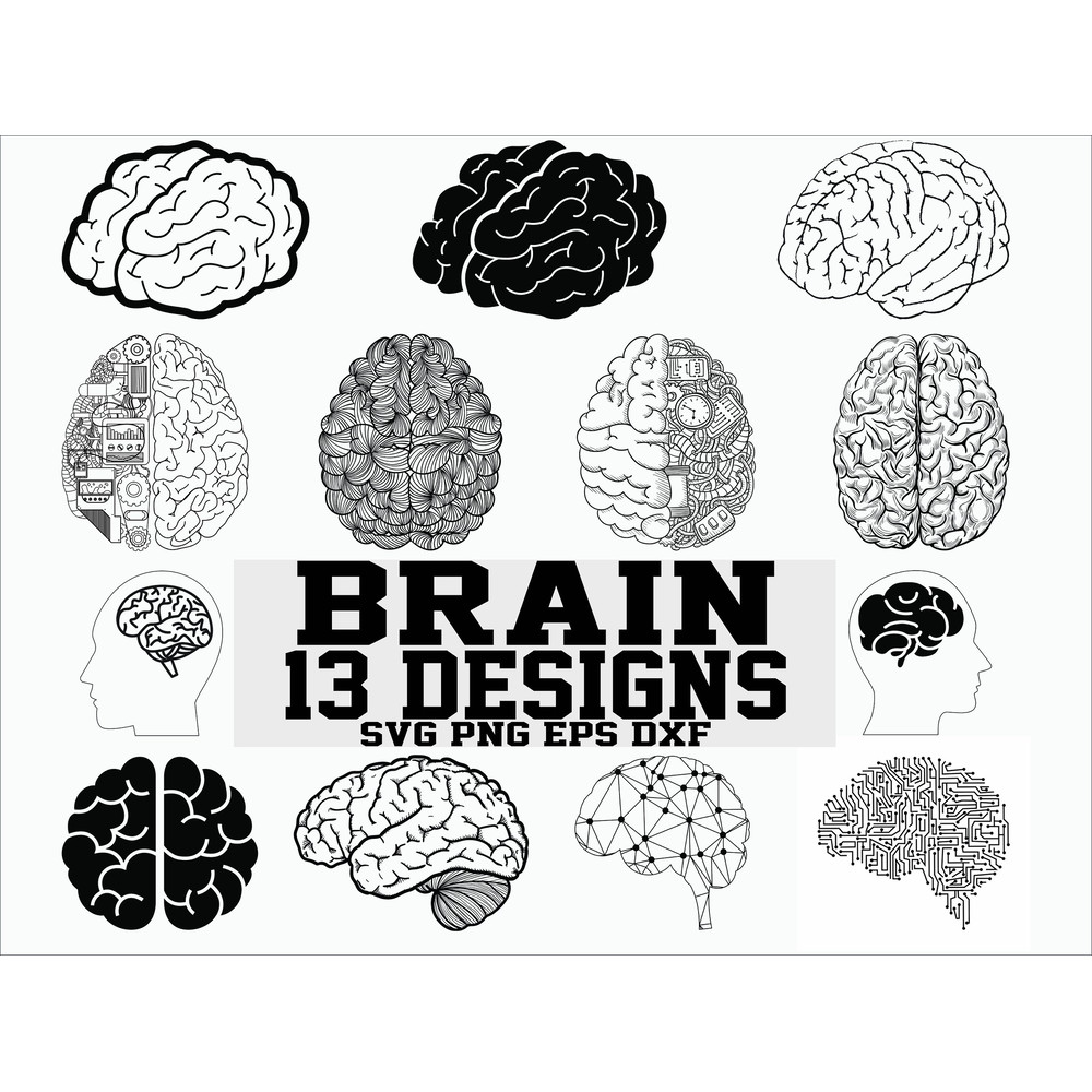 Brain svg human brain svg organ svg clipart decal stencil vinyl cut file iron on eps dxf image silhouette cricut file.jpg