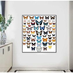 butterflies chart poster 42 x 50 cm butterfly