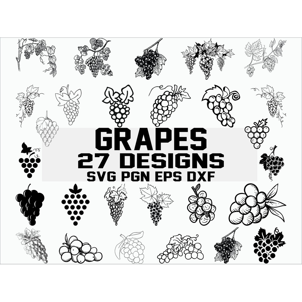 Grape svg wine svg vineyard svg fruits svg clipart silhouette decal stencil cut file iron on vector.jpg