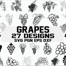 grape svg, wine svg, vineyard svg, fruits svg