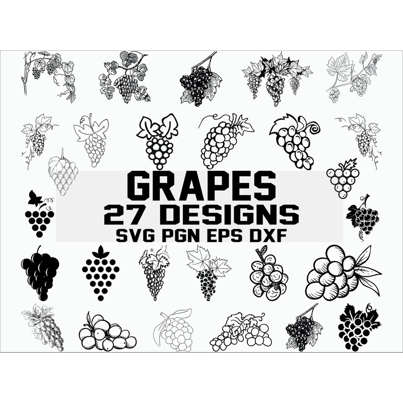 Grape svg wine svg vineyard svg fruits svg clipart silhouette decal stencil cut file iron on vector.jpg