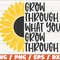 Grow Through What You Grow Through SVG  Cut File  Cricut  Commercial use  Instant Download  Sunflower SVG.jpg