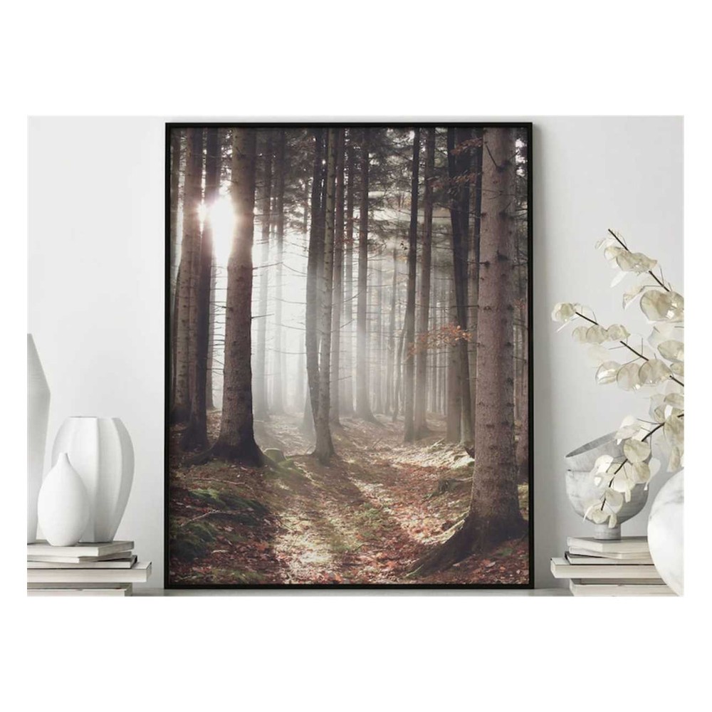 MR-17112023105815-sunbeam-forest-poster-nature-art-forest-photography-image-1.jpg